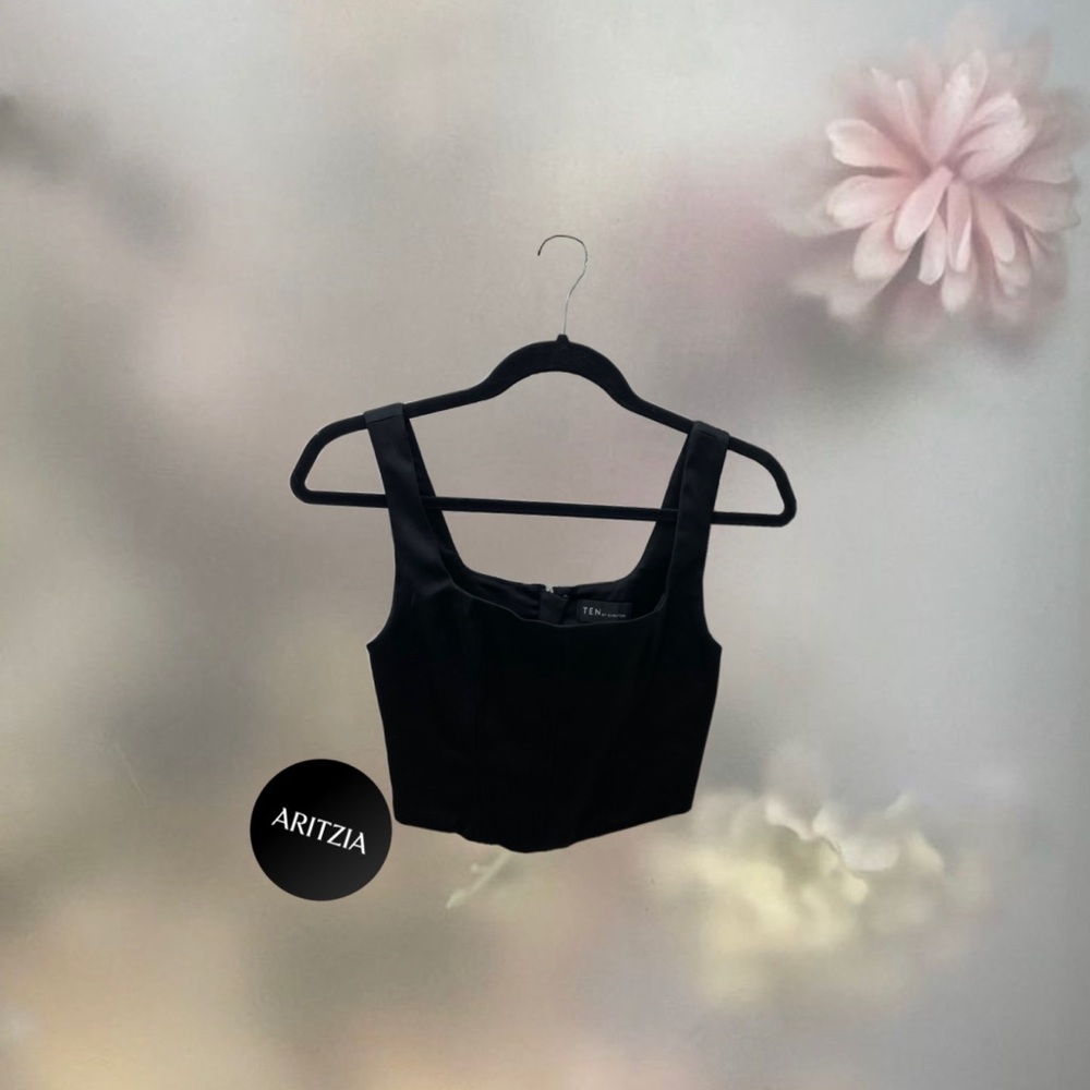 Aritzia - Babaton - Satin Crop Top